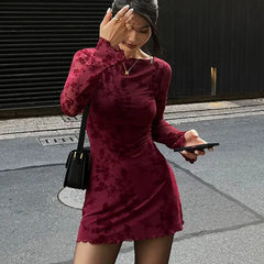 Wine Red Print Long Sleeves Knitted Dress