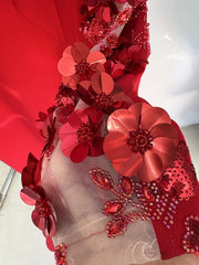 Three-Dimensional Flower Mesh Sleeve Maxi Dress
