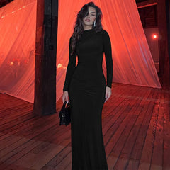 Turtleneck Long Sleeve Maxi Dress