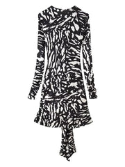 Zebra Print Long Sleeve Tie Waist Mini Dress
