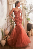 Embroidery Prom Dress Lace Appliqué Mermaid Tulle Dress