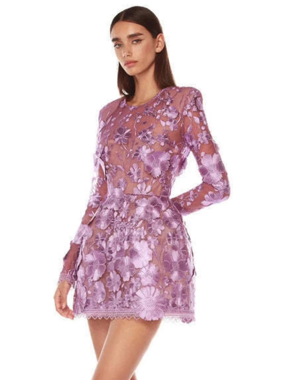 Close-up of purple floral embroidery on sheer mini dress