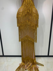 Rhinestone Fringe Bodycon Long Dress