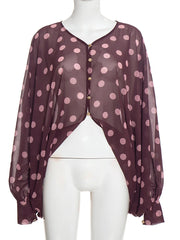 Polka Dot V-Neck Sheer Blouse Top