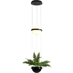 Led Glass Ball Pendant Light Plant Hanging Lamps