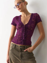 Sheer Lace V-Neck Short Sleeve Top
