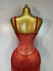 Rhinestone Fringe Bodycon Long Dress