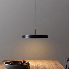 LED Pendant Light 23-40cm Disc Hanging Lamps