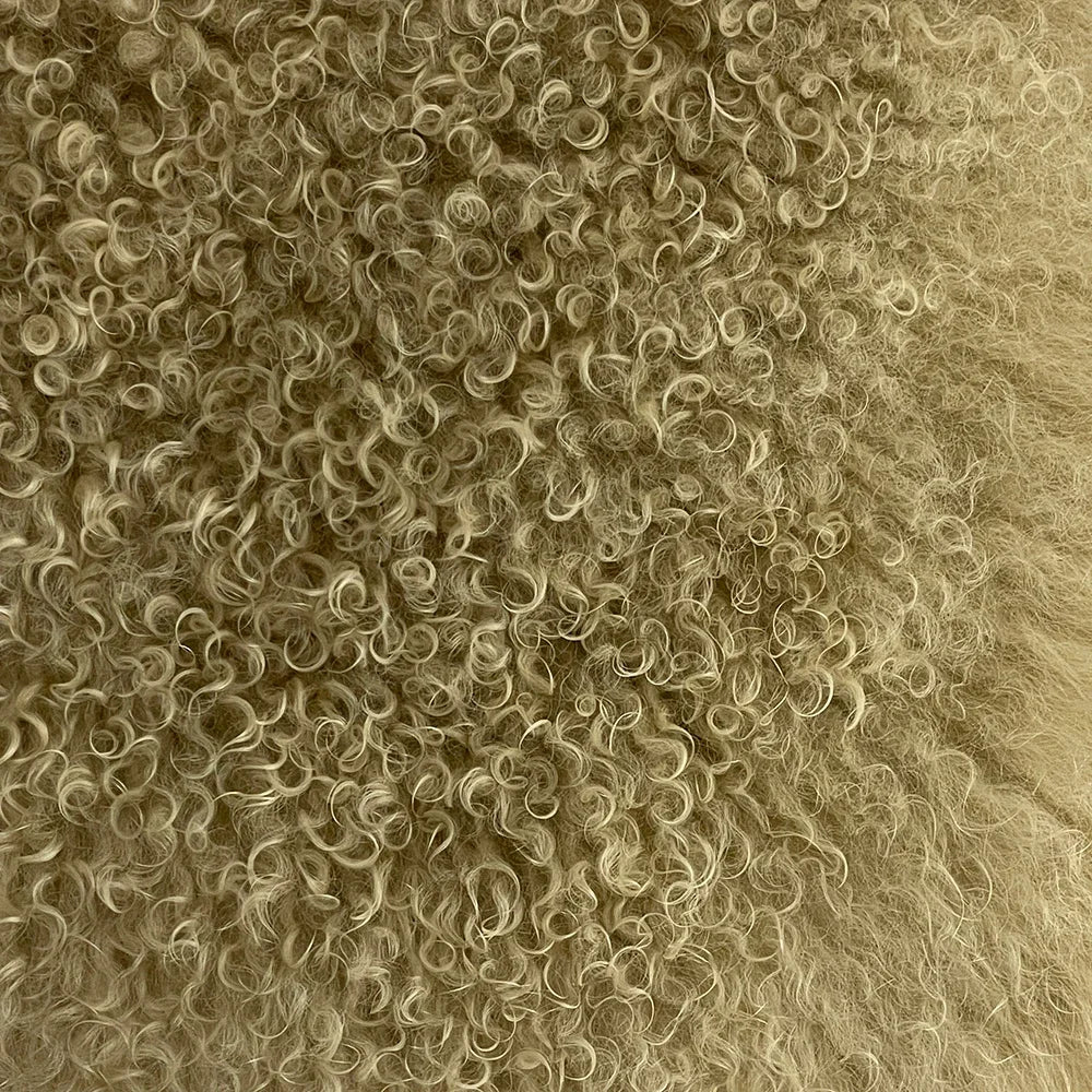 Close-up of curly beige hair texture
