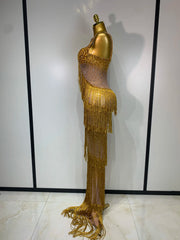Rhinestone Fringe Bodycon Long Dress