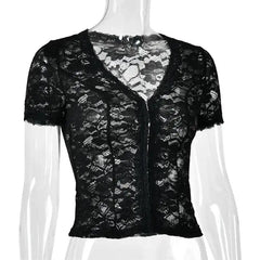Sheer Lace V-Neck Short Sleeve Top
