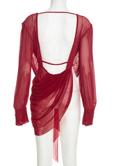 Mesh Draped Plunge Neck Long Sleeve Top