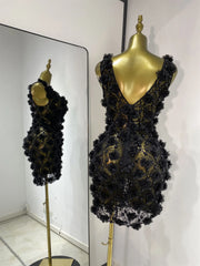Floral Sequin Appliqué V Neck Mini Dress