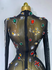 High Neck Mesh Full Sleeve Crystal Embellished Bodycon Mini Dress