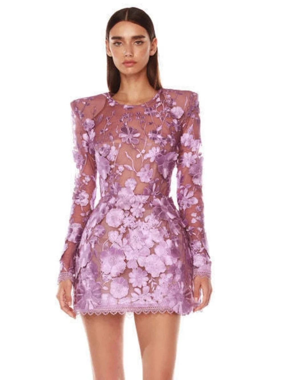 Purple floral embroidered sheer mini dress on model