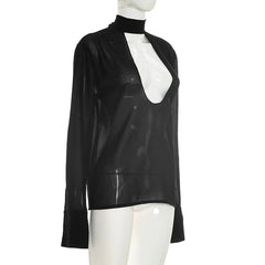 Sheer Hollow Neck Cutout Long Sleeve Top