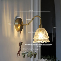 Wall-mounted lamp with clear glass shade and copper arm, showing dimensions and plug-in details.