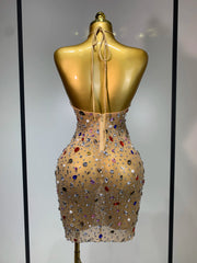 Halter neck sleeveless mini crystal embellished mesh dress back view