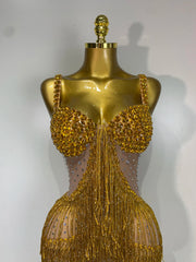 Rhinestone Fringe Bodycon Long Dress