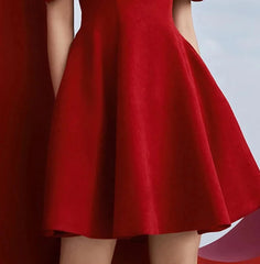 Red Solid Dress Strapped Puff Sleeve V Neck Mini Dress
