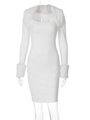 Women Long Sleeve Bodycon Solid Mini Dress