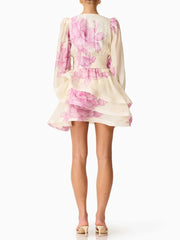 Floral Print V Neck Long Sleeve Mini Dress