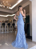Baby Blue Mermaid Prom Dress Lace Embroidery Fishtail Side Split Dress