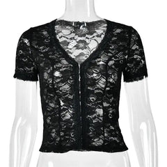 Sheer Lace V-Neck Short Sleeve Top