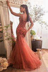  Embroidery Prom Dress Lace Appliqué Mermaid Tulle Dress