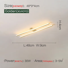 Long Modern Surface Mounted Ceiling LED Lamp