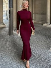 Turtleneck Long Sleeve Fitted Maxi Dress Golden Atelier 3