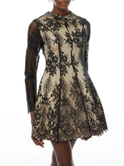 A-line mini dress with lace overlay and high waist placement