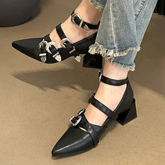 “Close-up of silver buckle strap and pointed toe design on pumps”

