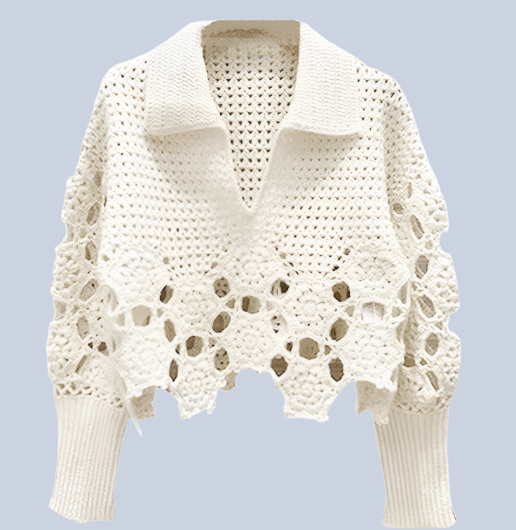 Lapel Crochet Hollow Out Knitwears Long Sleeves Crop Top