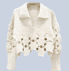 Lapel Crochet Hollow Out Knitwears Long Sleeves Crop Top