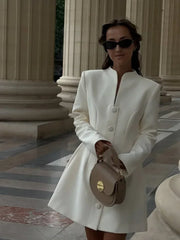 Outfit shot of an ivory long sleeve mini dress with a clean high neck and button front, styled for an elegant daytime event.