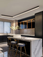 Modern style long LED ceiling light fixture with black finish, mounted on the ceiling in an interior setting, illuminating the kitchen table space, flower pot with a bright light.