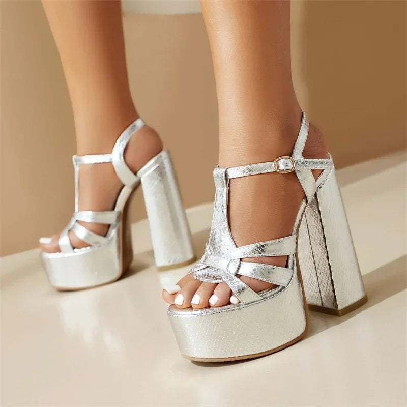 Silver metallic chunky heel platform sandal for women