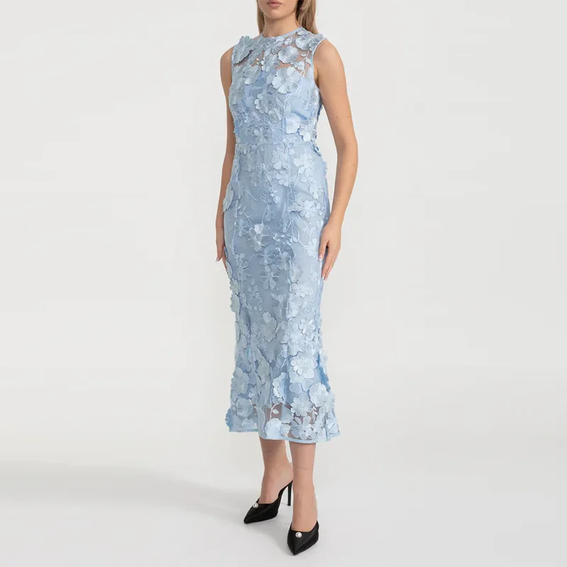 Elegant mesh midi dress styled for a formal event on a white background