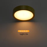 Modern Colorful LED Ceiling Lamp Surface Mounted Ultra Thin
