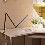 Long Arm LED Desk Lamp with Eye-Protection