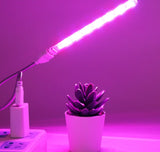 Portable LED Grow Light for Succulent Plants - DC5V 21LEDs Full Spectrum