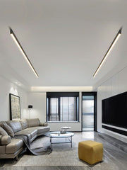 Modern style long LED ceiling light fixture with black finish, mounted on the ceiling in an interior setting, illuminating the space with a bright light.